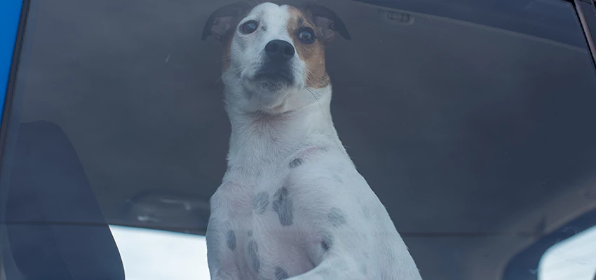 Car Lockout Solutions in Phelan, California