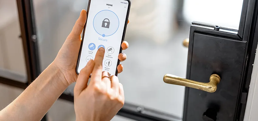 Remote Control Locks Sensor Repair in Phelan, California