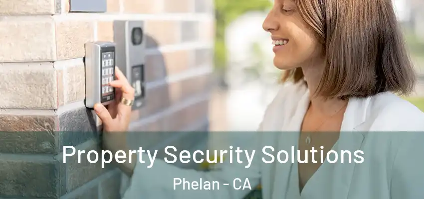  Property Security Solutions Phelan - CA